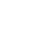icon fast