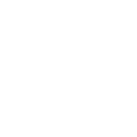 icon customisable