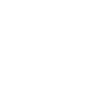 icon stock